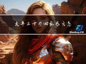 大年三十不回家感言怎么写