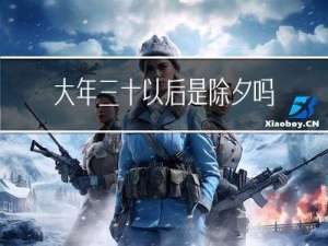 大年三十以后是除夕吗英语