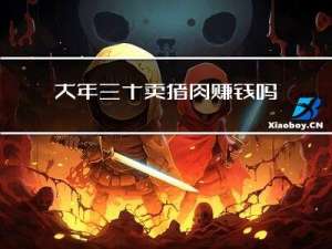 大年三十卖猪肉赚钱吗视频
