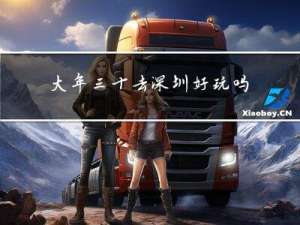 大年三十去深圳好玩吗作文