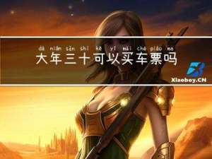 大年三十可以买车票吗吗