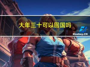 大年三十可以回国吗