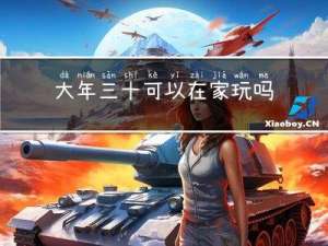大年三十可以在家玩吗日记