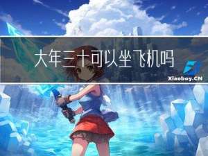 大年三十可以坐飞机吗英文