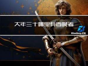 大年三十哪里有春晚看