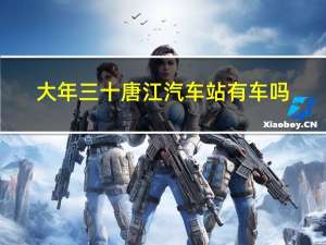 大年三十唐江汽车站有车吗