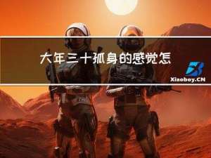 大年三十孤身的感觉怎么样