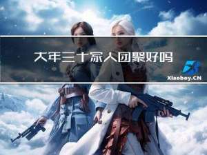 大年三十家人团聚好吗作文