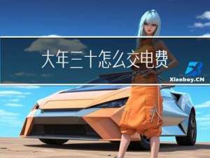 大年三十怎么交电费
