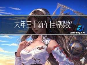 大年三十新车挂牌照好不好