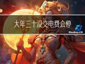 大年三十没交电费会停电吗