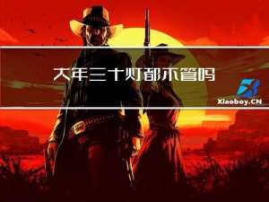 大年三十灯都不管吗