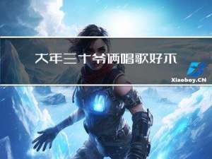 大年三十爷俩唱歌好不好