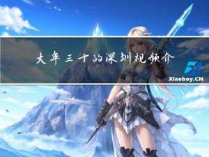 大年三十的深圳视频介绍