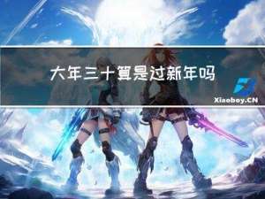大年三十算是过新年吗作文