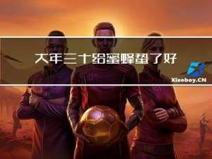 大年三十给蜜蜂蛰了好吗