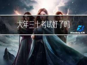 大年三十考试好了吗