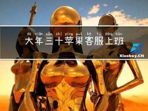 大年三十苹果客服上班吗