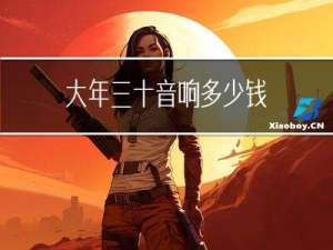 大年三十音响多少钱