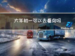 大年初一可以去看鸟吗