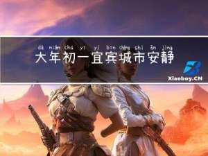 大年初一宜宾城市安静吗