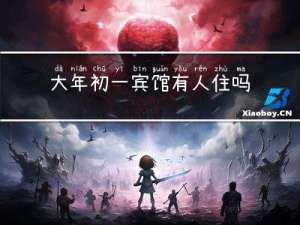 大年初一宾馆有人住吗