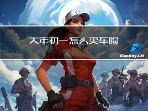 大年初一怎么买车险