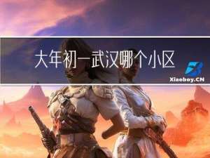 大年初一武汉哪个小区好