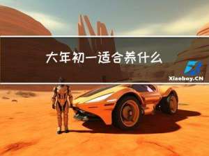大年初一适合养什么