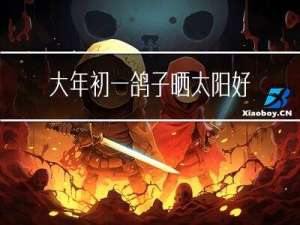 大年初一鸽子晒太阳好吗