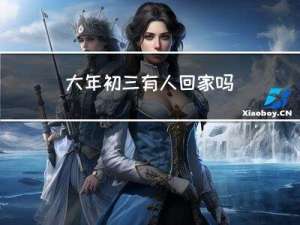 大年初三有人回家吗