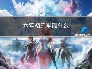 大年初三采购什么