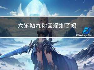 大年初九你回深圳了吗英语