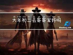 大年初二去哥哥家好吗吗