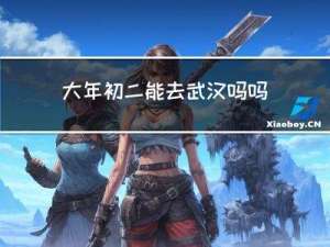 大年初二能去武汉吗吗