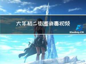 大年初二街道消毒视频教程