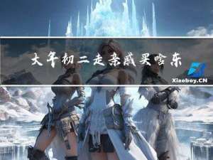 大年初二走亲戚买啥东西