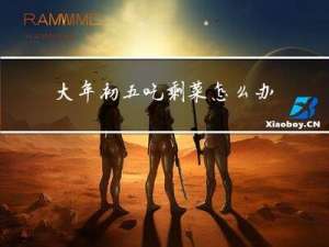 大年初五吃剩菜怎么办