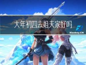 大年初四去姐夫家好吗日记