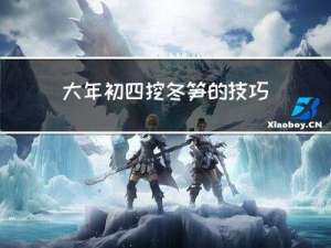 大年初四挖冬笋的技巧作文