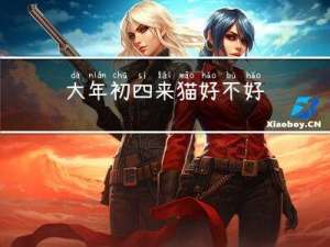 大年初四来猫好不好