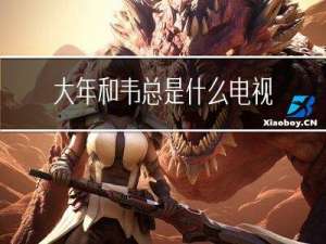 大年和韦总是什么电视剧