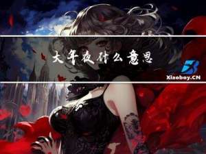 大年夜什么意思