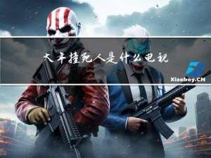 大年撞死人是什么电视