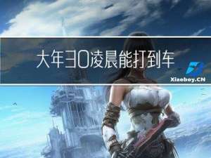 大年30凌晨能打到车吗