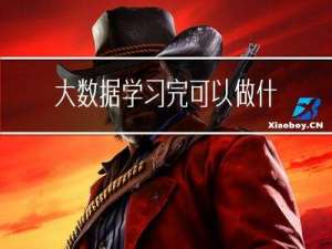 大数据学习完可以做什么