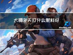 大棚冬天打什么肥料好