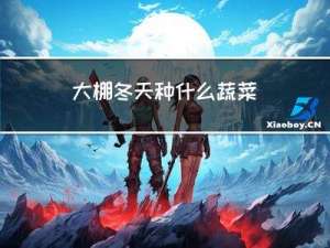 大棚冬天种什么蔬菜
