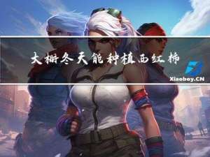 大棚冬天能种植西红柿吗