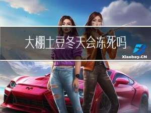 大棚土豆冬天会冻死吗